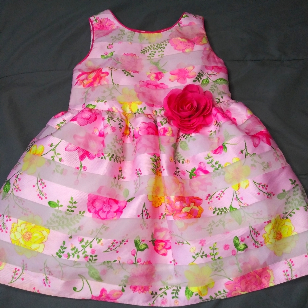 Toddler Girl Dress (Never Worn)